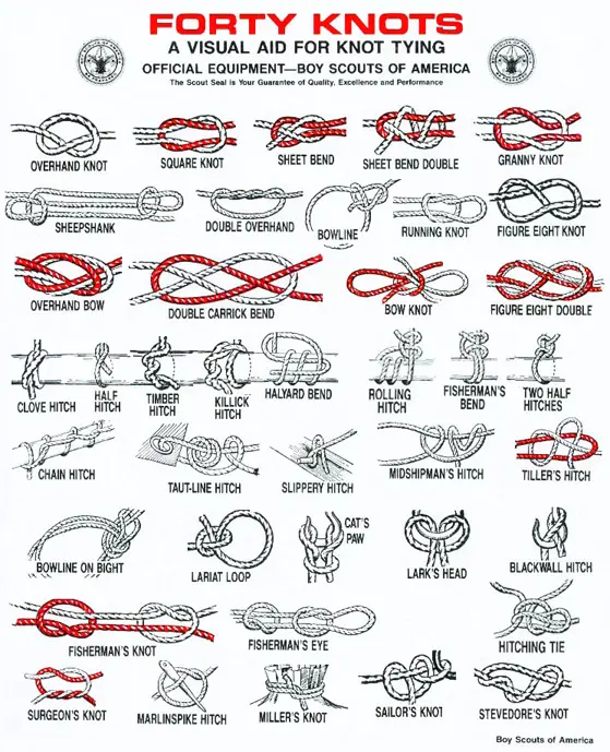 knots knotting and knot tying cards