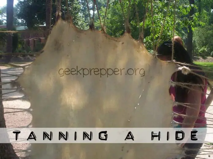 Tanning a Hide in Your Free Time
