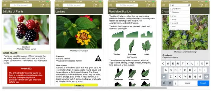 wild plant survival guide 2