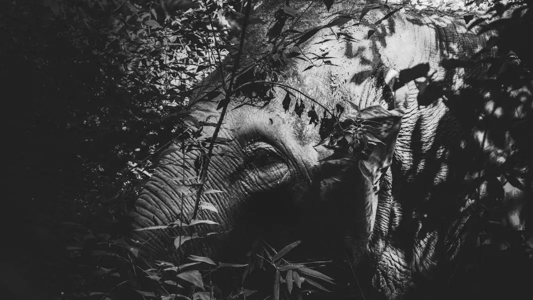 How To Make (& Use) a DIY Camo Ghillie Blanket in 6 Steps