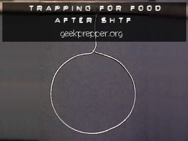 Trapping for Food