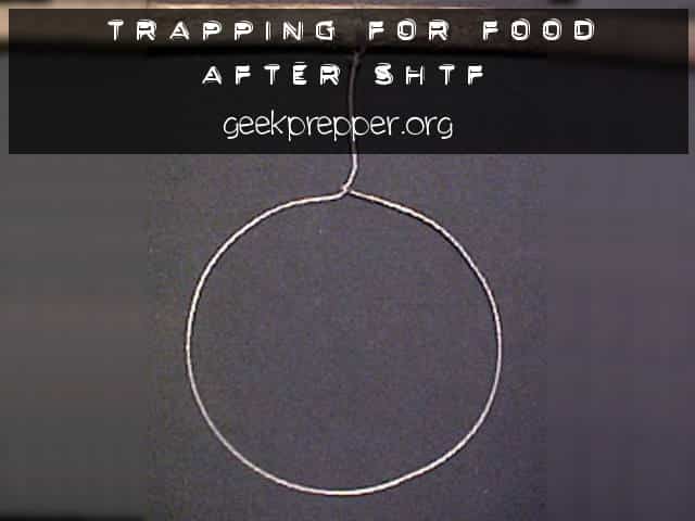 Trapping for Food