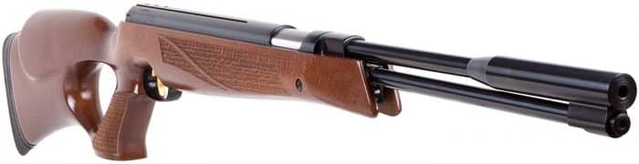 .20 cal air rifle