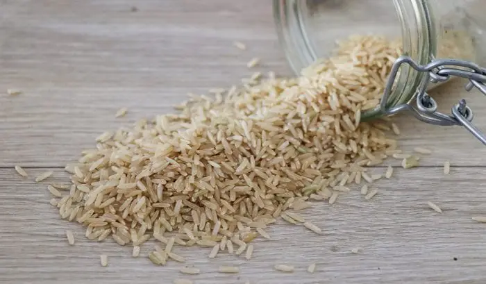 rice grains