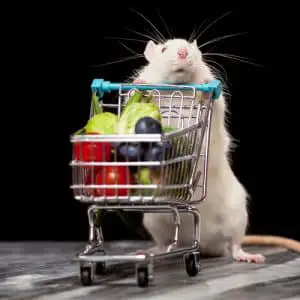 mouse shopping cart