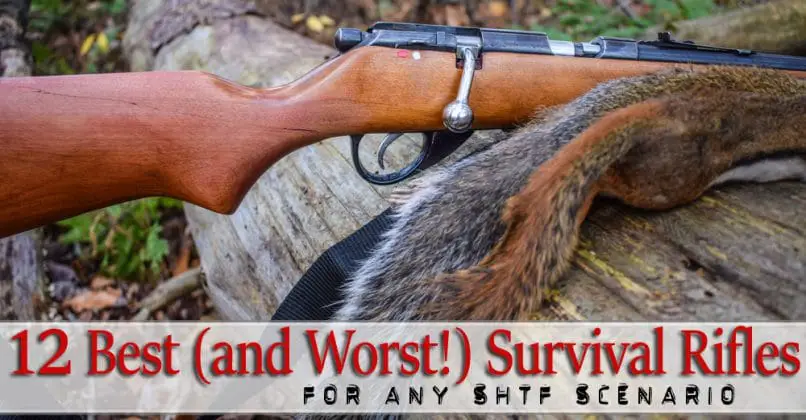 12 Best Survival Rifles For Survival & Prepping