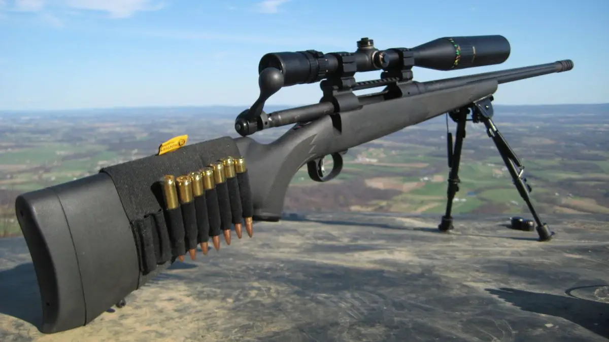 best-300-win-mag-rifle.
