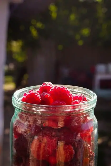 canned raspberry